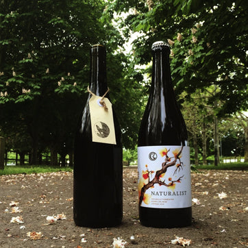 New wines from Cambridge Road, Martinborough, New Zealand