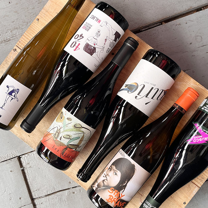 Natural Wine mixed case (6 bottles)