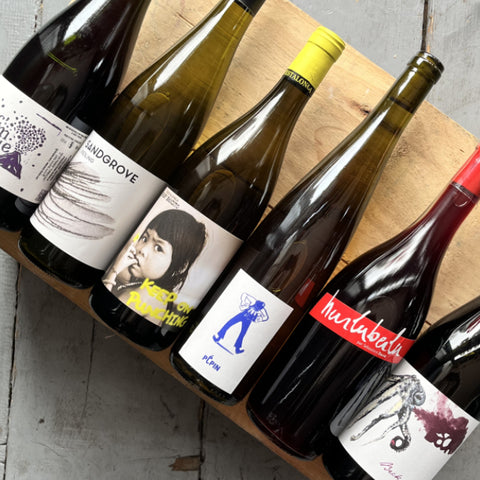 Natural Wine mixed case (6 bottles)